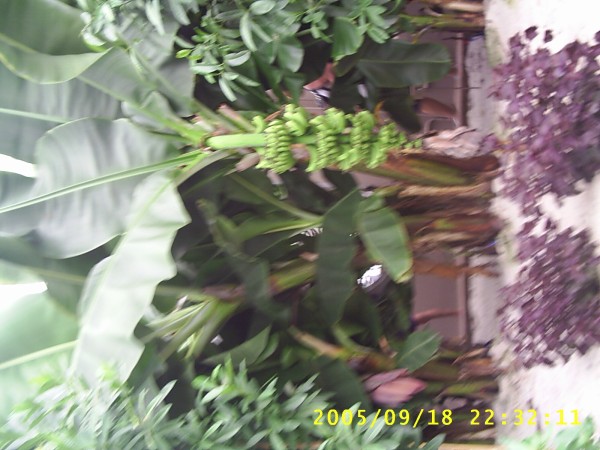 Florida Vacation 2005 421.jpg