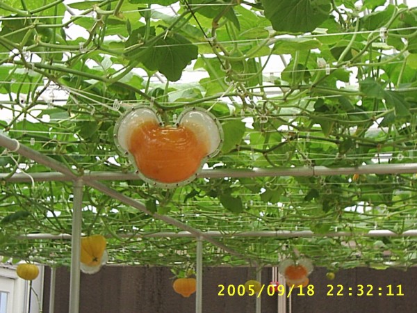 Florida Vacation 2005 445.jpg
