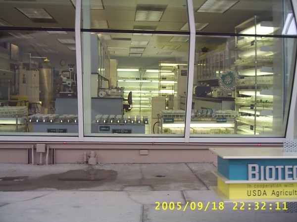 Florida Vacation 2005 449.jpg