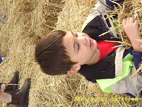 Florida Vacation 2005 842.jpg