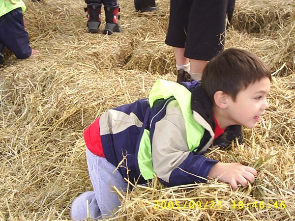 Florida Vacation 2005 844.jpg