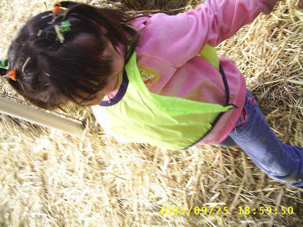 Florida Vacation 2005 896.jpg