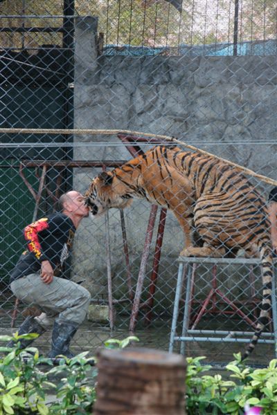 Kiss kiss!