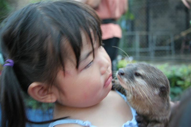A kiss goodbye?