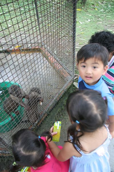 Feeding the otters
