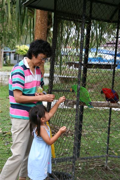 Feeding the birds