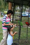 Feeding the birds
