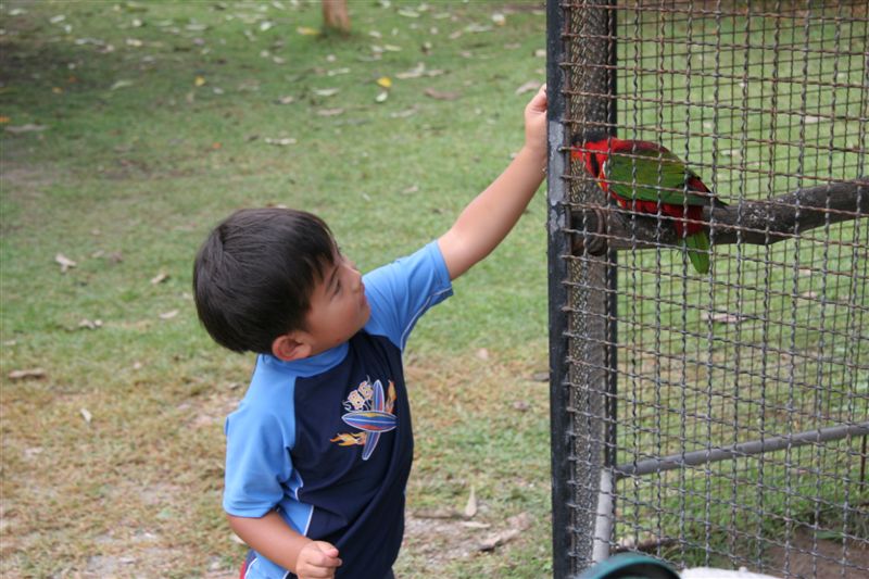 Very tame and friendly