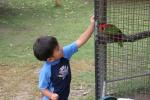 Very tame and friendly