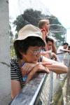 Mesmerized by the croc show