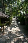 Bungalow by day