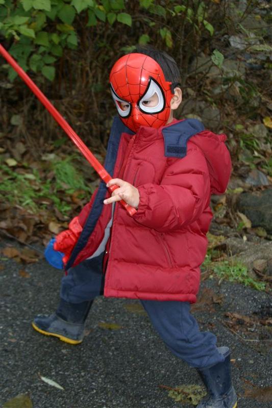 Does whatever a Spider can...