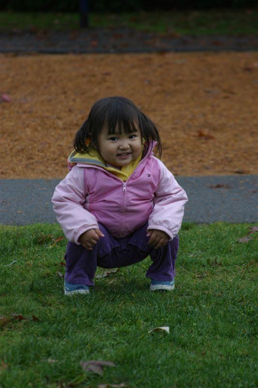 An ideal place to poop