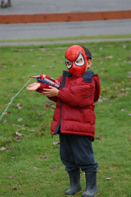 Spins a web, any size..