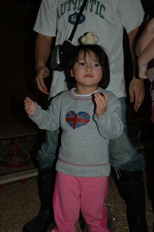DSC_1491