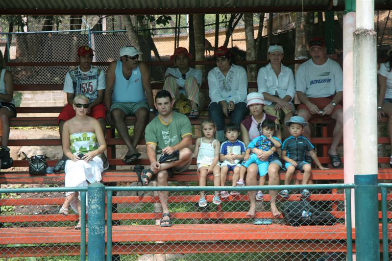 Crocodile Show