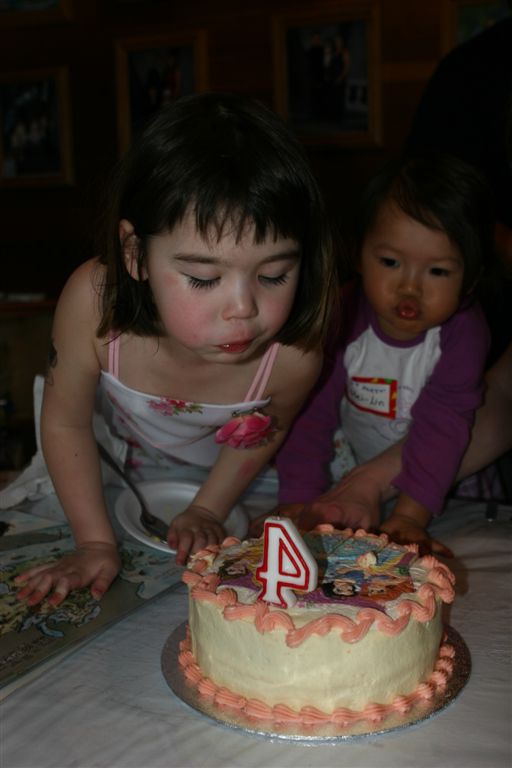 s 4th Birthday Party 334