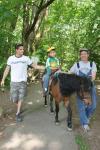 Roger: Slow down, I can't keep up to this thoroughbred animal