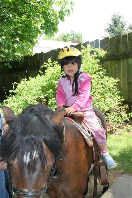 Whee! Did you know I 1,0000 My Little Ponies?
