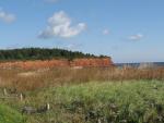 Maritimes
