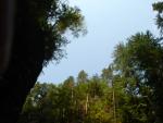 DSC00031