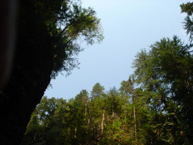 DSC00031
