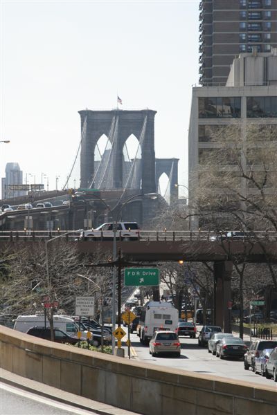 ...more views of Brooklyn 