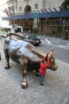 The Bull: symbol of financial district (but to Adrian, it means Lamborghini)!