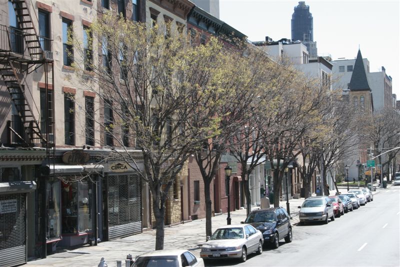 Brooklyn neighborhoods are very quaint and picturesque