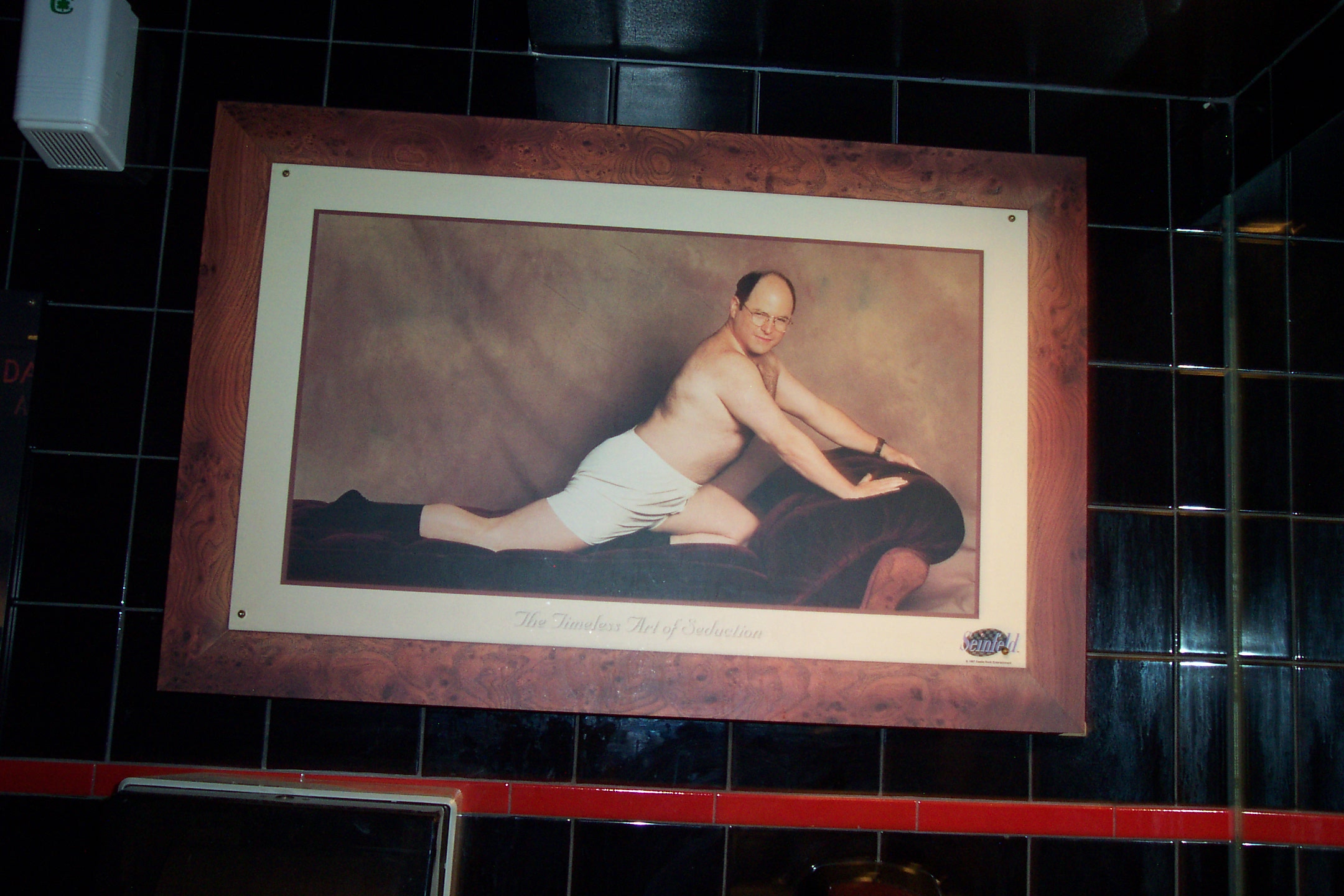 Nice pic to inspire the ladies in the Woman's restroom! or maybe to help you lose your lunch.
