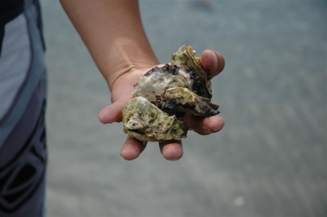 DSC_6031.JPG