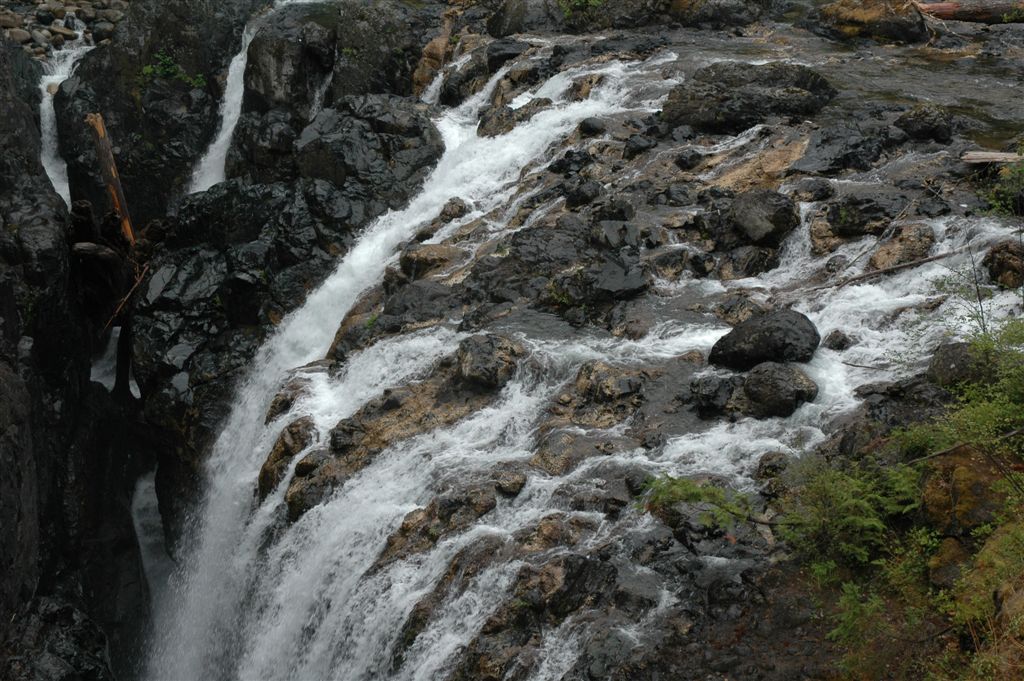 DSC_6116.JPG