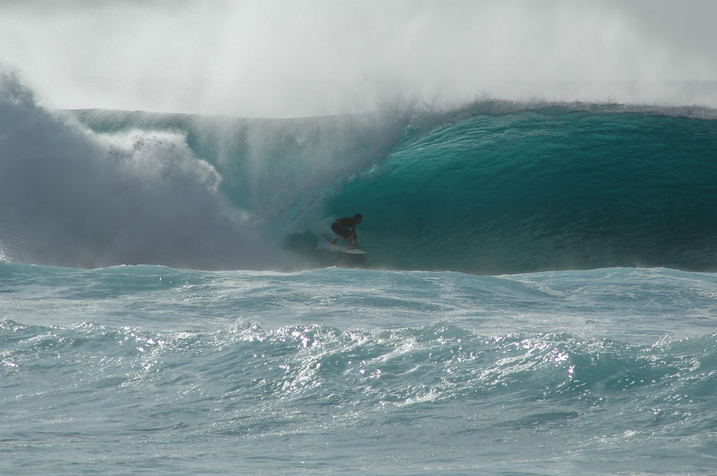 DSC_4651.JPG