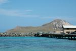 DSC_4957.JPG