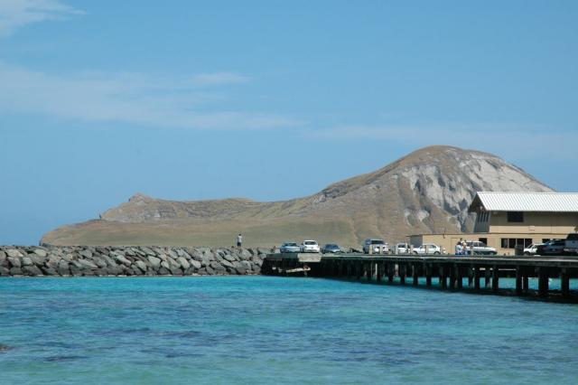 DSC_4957.JPG