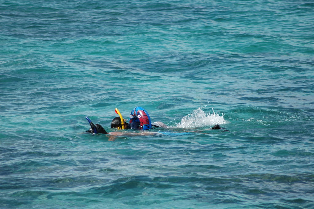 DSC_4962.JPG