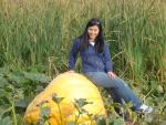 Now that's a pumpkin!