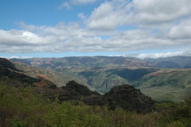 DSC 1200