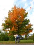 Here is some fall colour