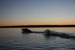 IMG_7429.JPG