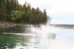 IMG_7705.JPG