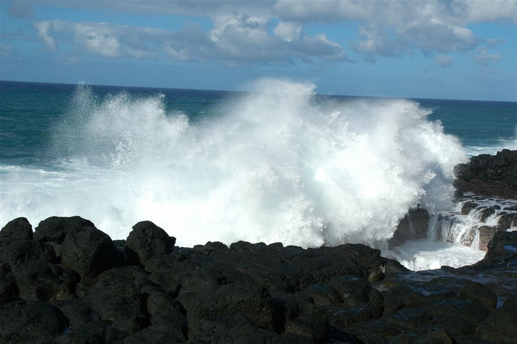 DSC 1368