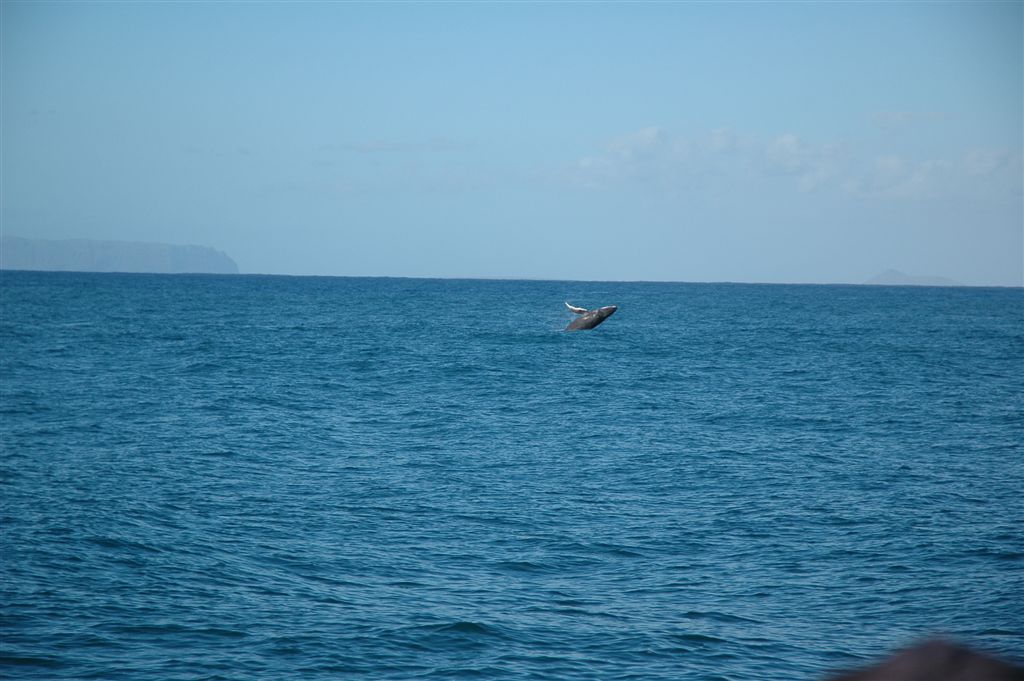 DSC 1426