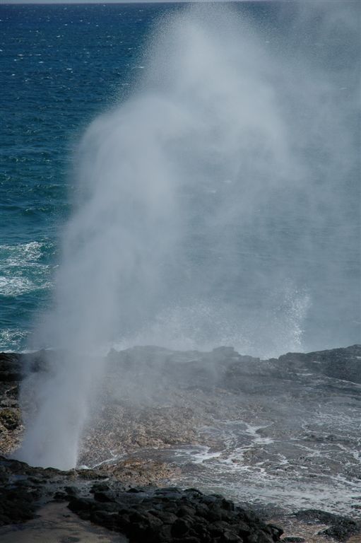 DSC 1537