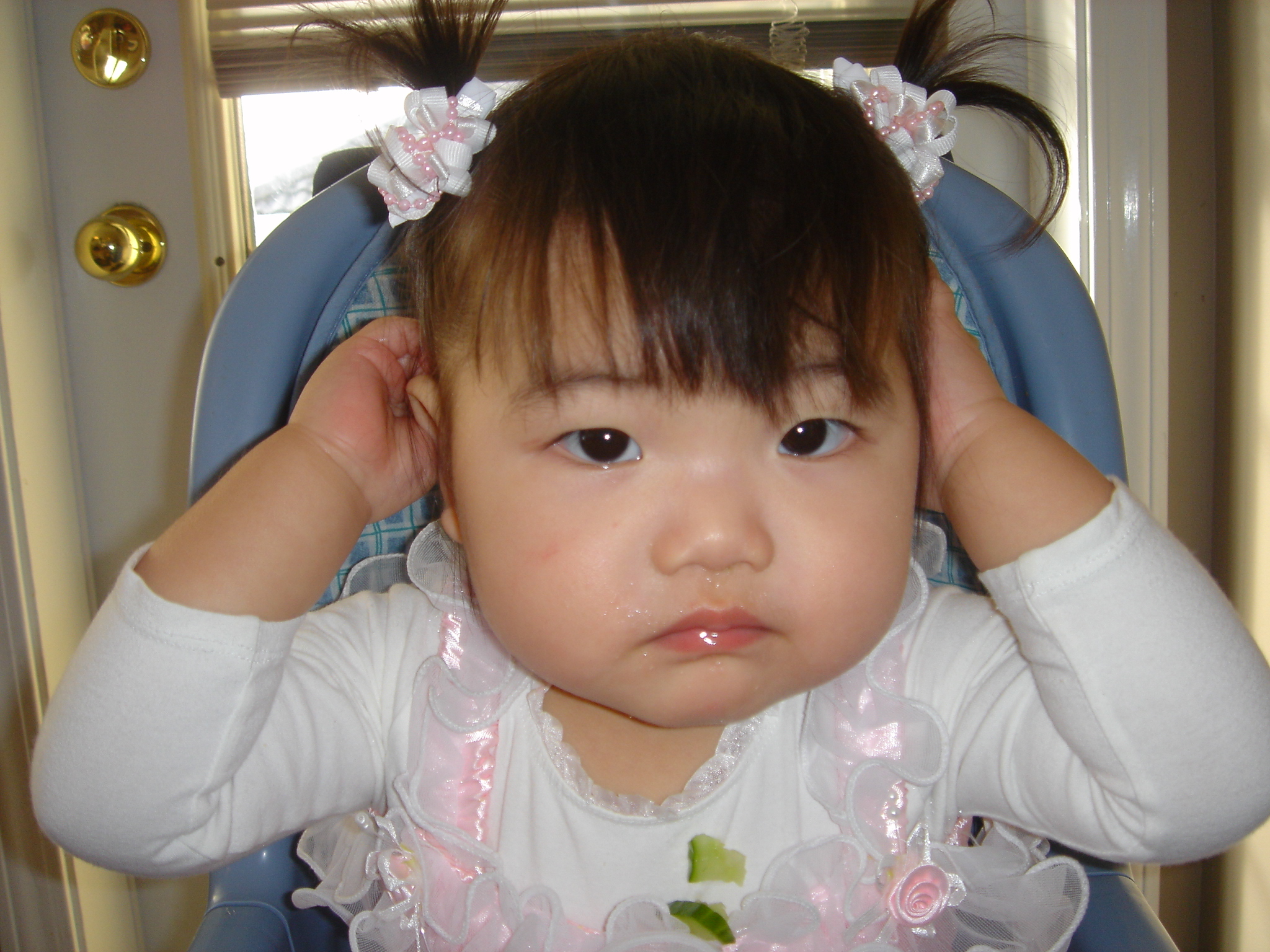 DSC00008.jpg