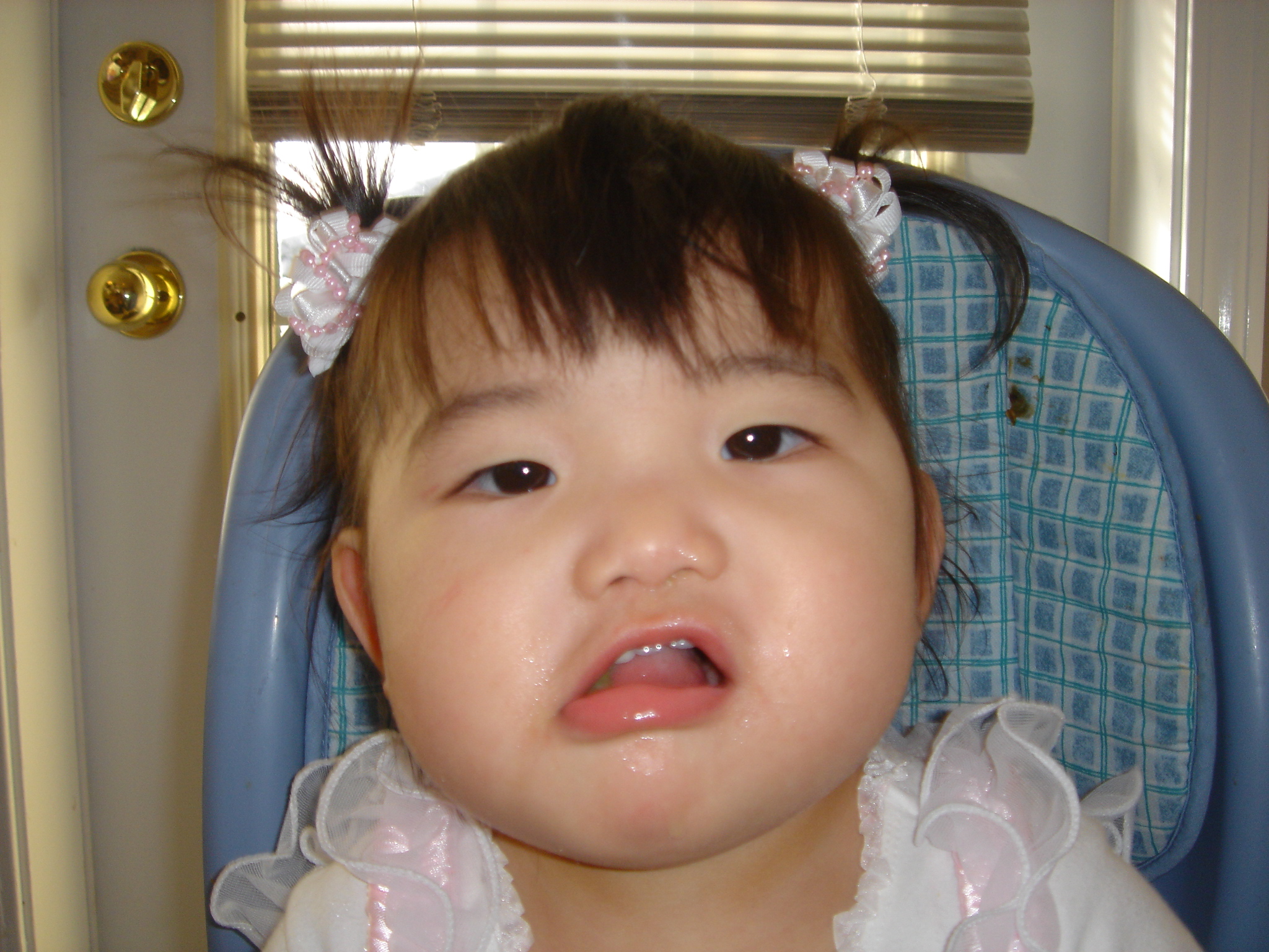 DSC00009.jpg