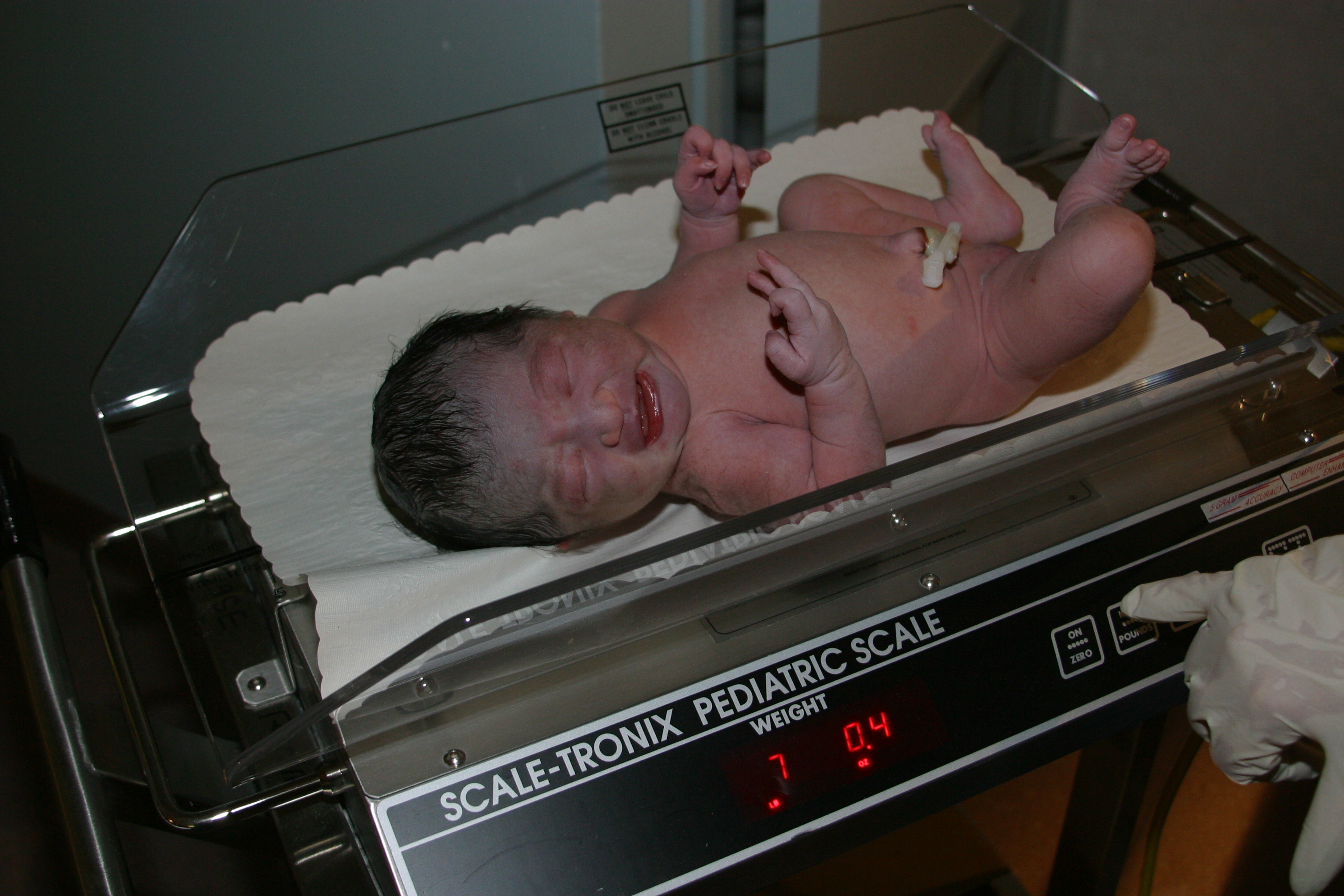 I weight 7 lbs!
