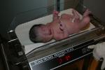 I weight 7 lbs!