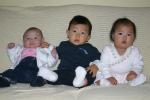 Babies of 2004