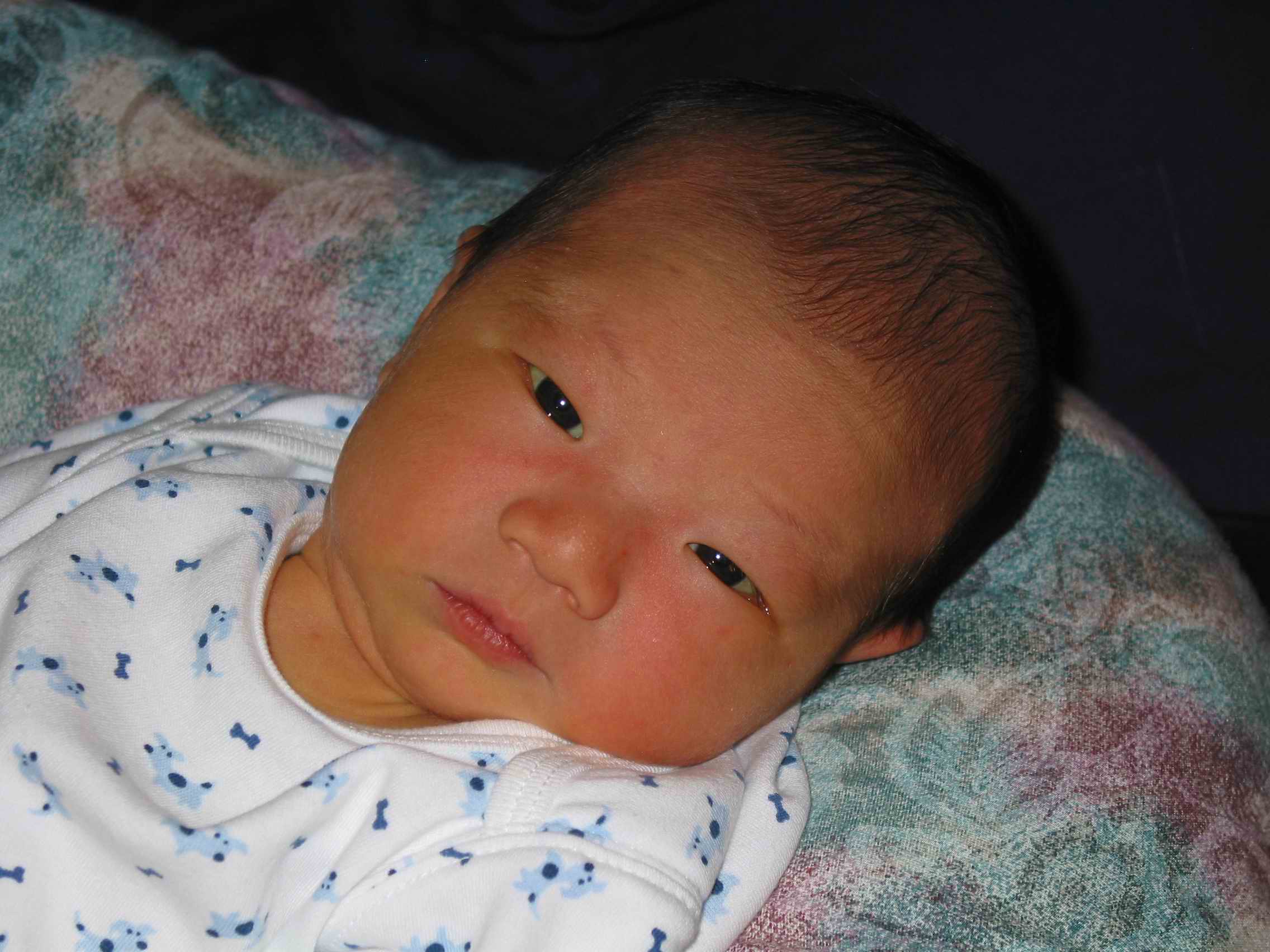 Baby Kobe a few days old